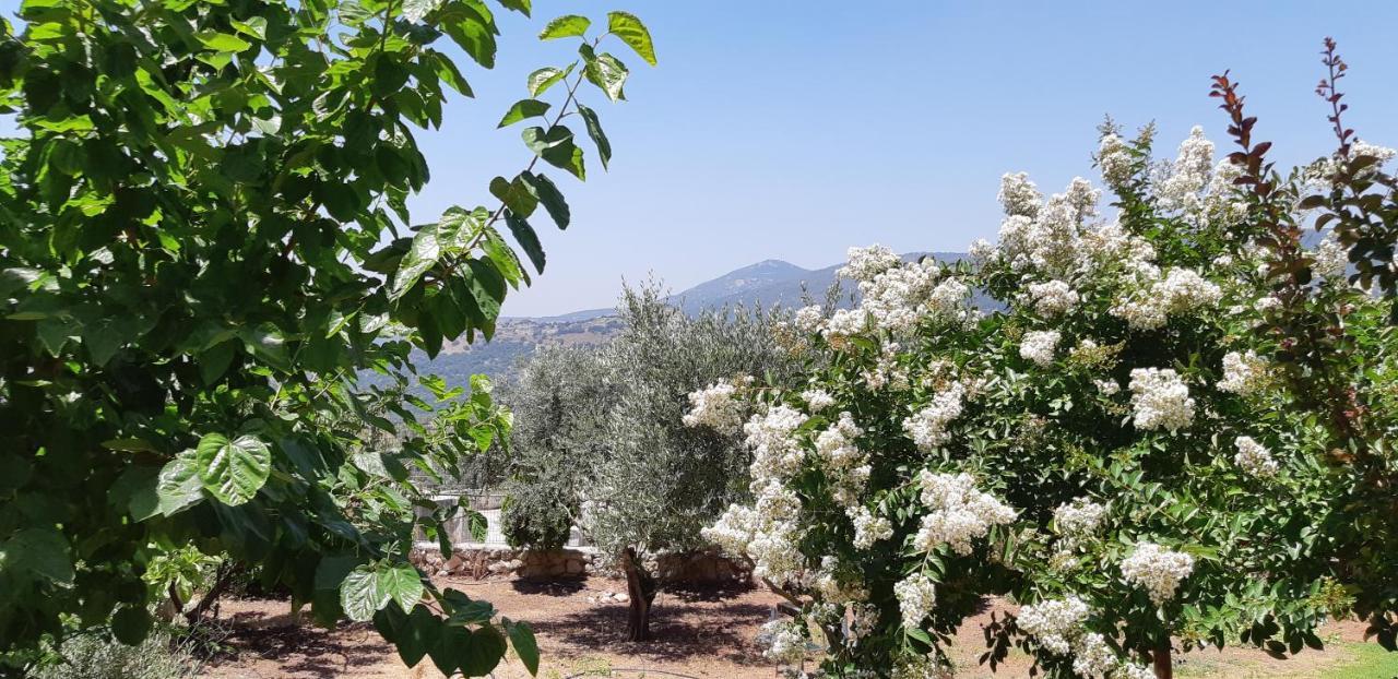 Sanabl Druze Hospitality Bed & Breakfast Ein Kinya Ngoại thất bức ảnh